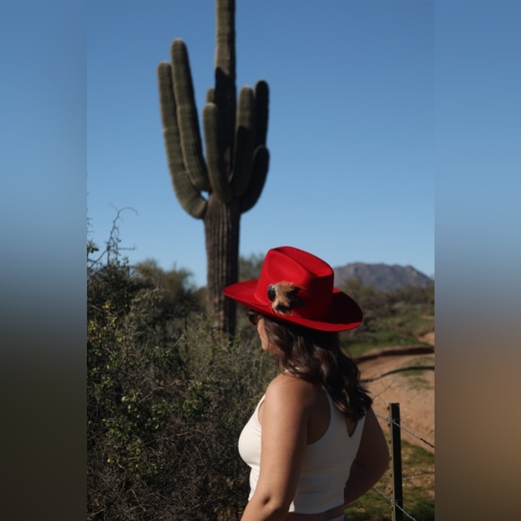 Wyeth by Todd Magill Accessories - Red Wool Cowboy Hat – Western Felt Hat with feather hat pin vintage stone brooch